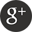 Google+ Logo