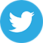 Twitter Logo